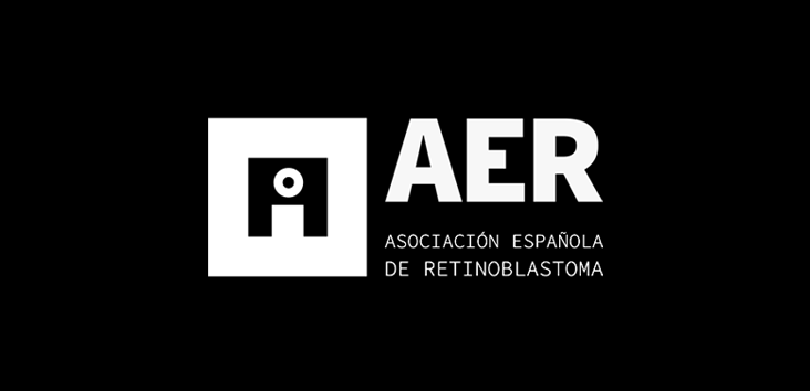 Mejoramos la accesibilidad web de AER Asociación Española de Retinoblastoma