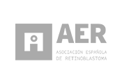 AER - Accesibilidad Web